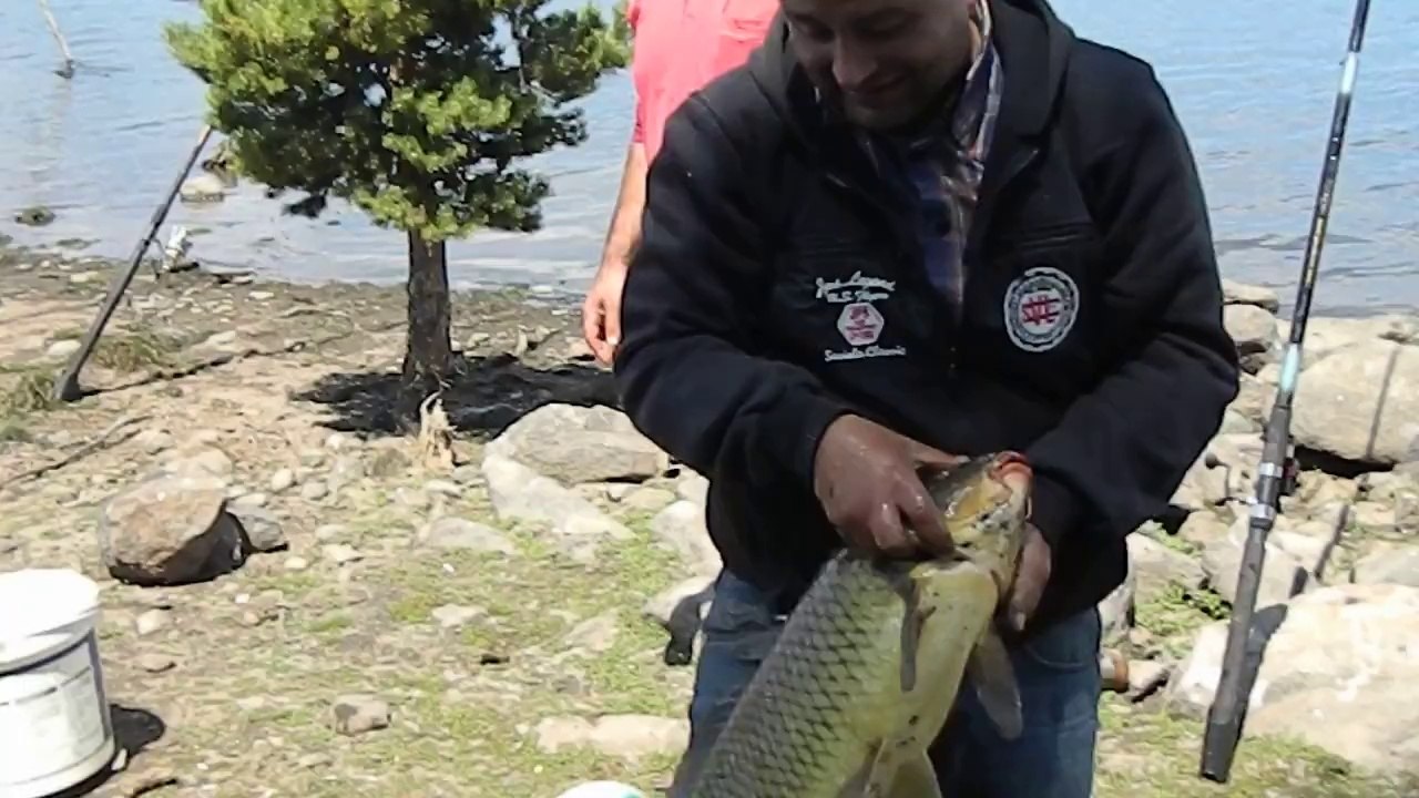 seben, bolu seben, bolu seben taşlıyayla,sazan avı ,balıkavı