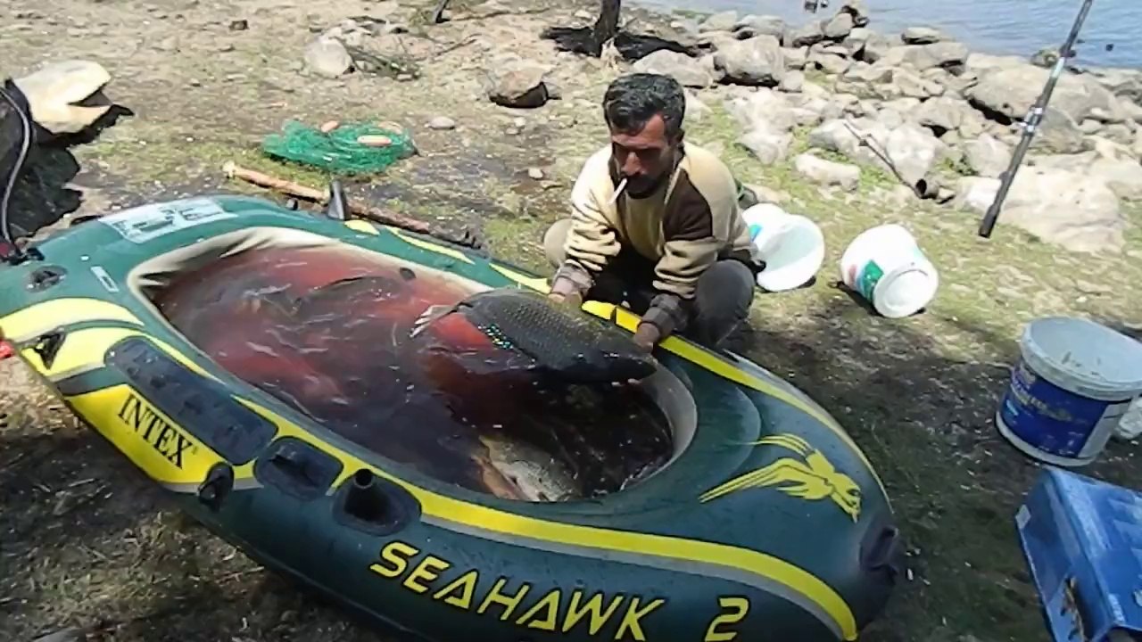 seben, bolu seben, bolu seben taşlıyayla,sazan avı ,balıkavı