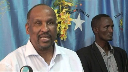 Somali forces make gains against Shebab-held towns