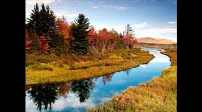 Felek Vurmuş Bir Kere Ne Söylesen Bahane - Nusret Yılmaz