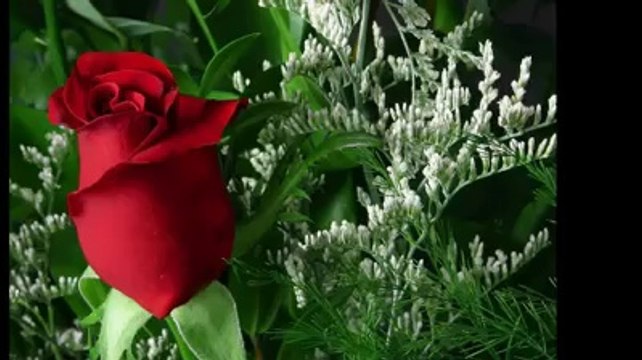 can yücel herşey sende gizli ufuk başar