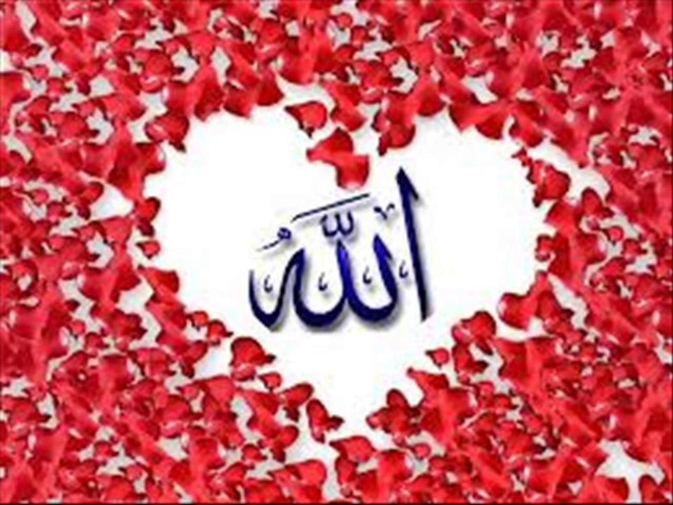 Abdurrahman önül -uçun kuşlar medineye