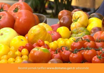 Japon Yemek Tarifler