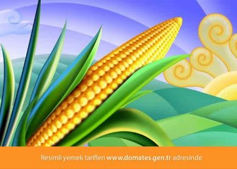 Resimli Yemekler Tarifleri