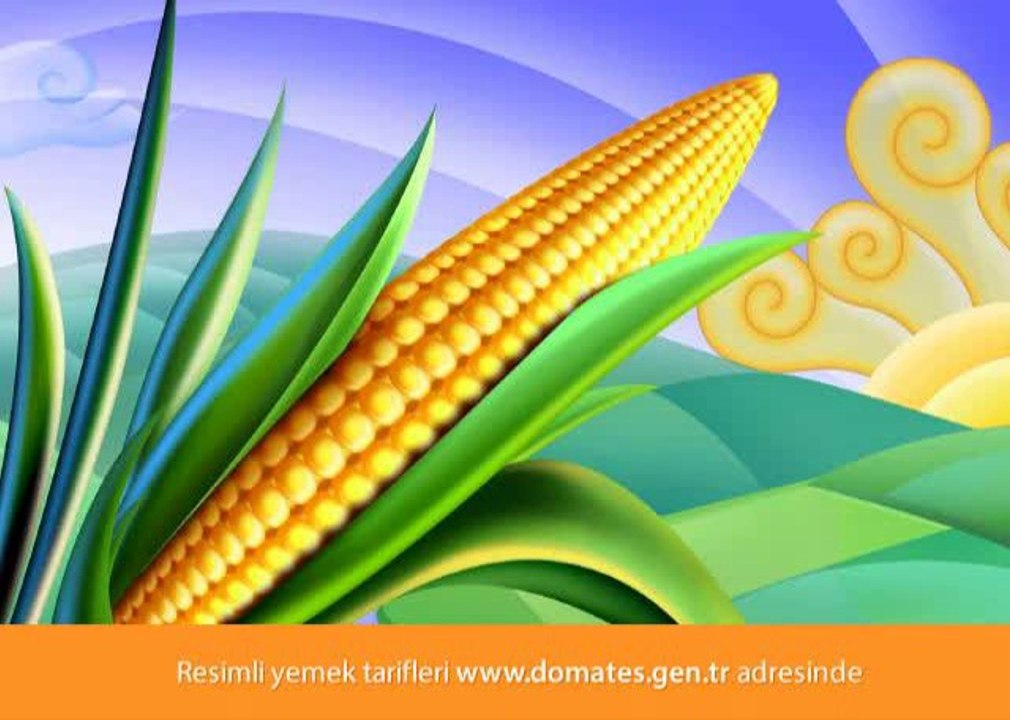 Resimli Japon Yemekleri Tarifleri