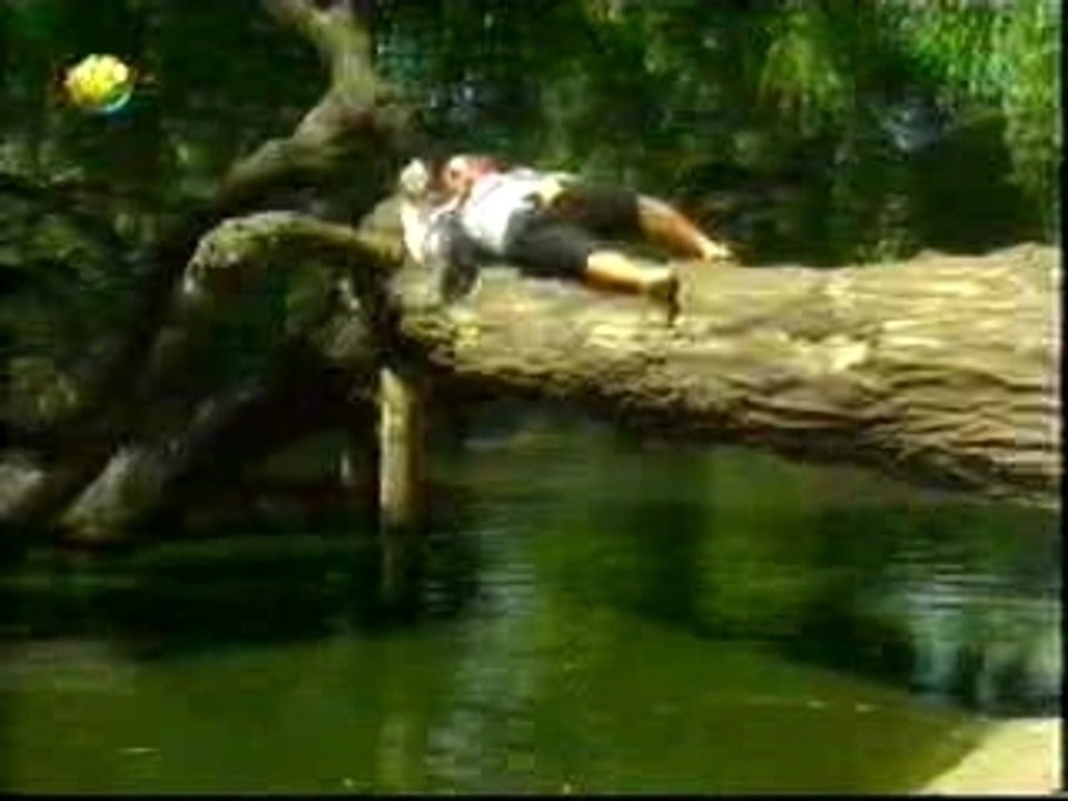 Pub pour la bière Dicht