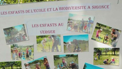 Délégué au Parc du Luberon - Préserver la biodiversité