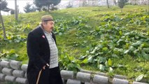 SIR EBU HAFIZ  SAİD  KARAGÜZEL  HARABATİ  EL NAKŞİBENDİ EL UVEYSİ  EL FUKARA  EL TRABZONİ