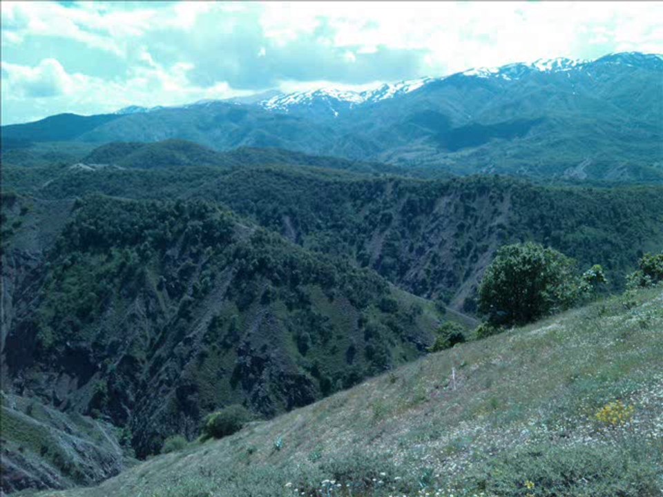 HOZAN XEZAL U DELAL TEWLIMINE  MUŞ YAMAÇ KÖYÜ