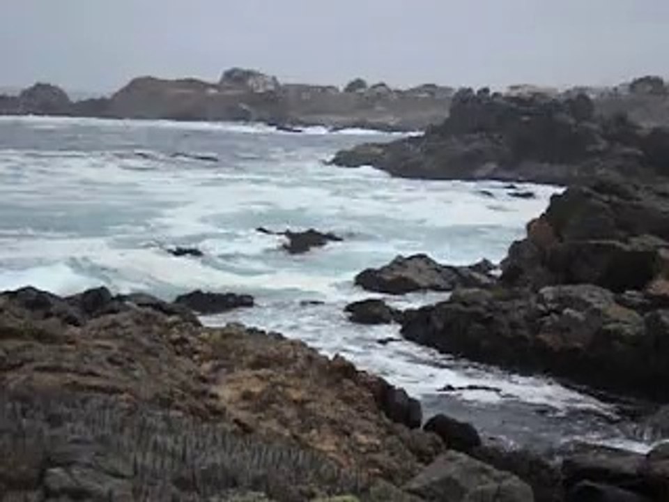 pichidangui