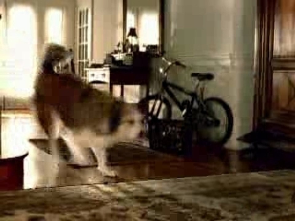 Pub marrante higiène savon