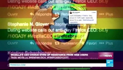 'Cat lobby' takes over Turkish web