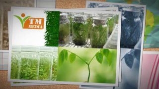 Dehydrated & Plant Tissue Culture Media Manufacturer - Titan Media