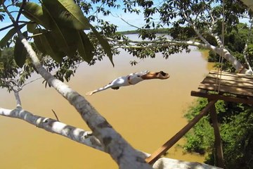 Red Bull Amazon Diving with Orlando Duque