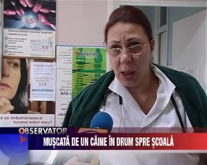 Eleva muscata de maidanezii in drum spre scoala