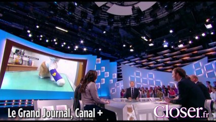 Oscar, le chat martyrisé, interviewé par Antoine de Caunes dans "Le grand journal"
