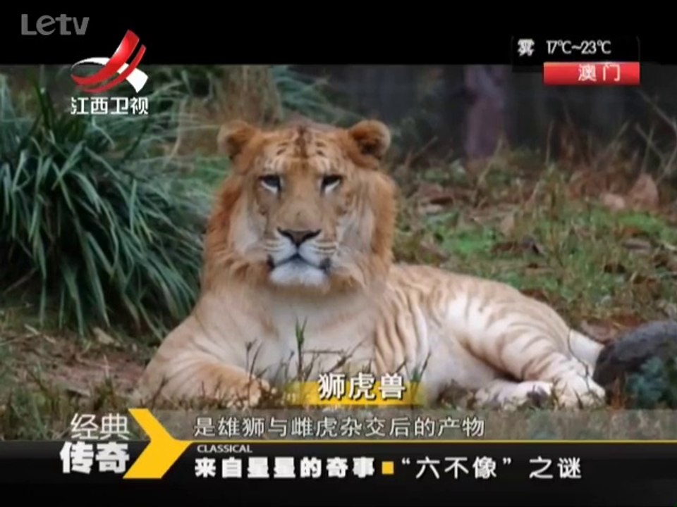 20140318  深山突现“六不像” 奇异动物来自何处