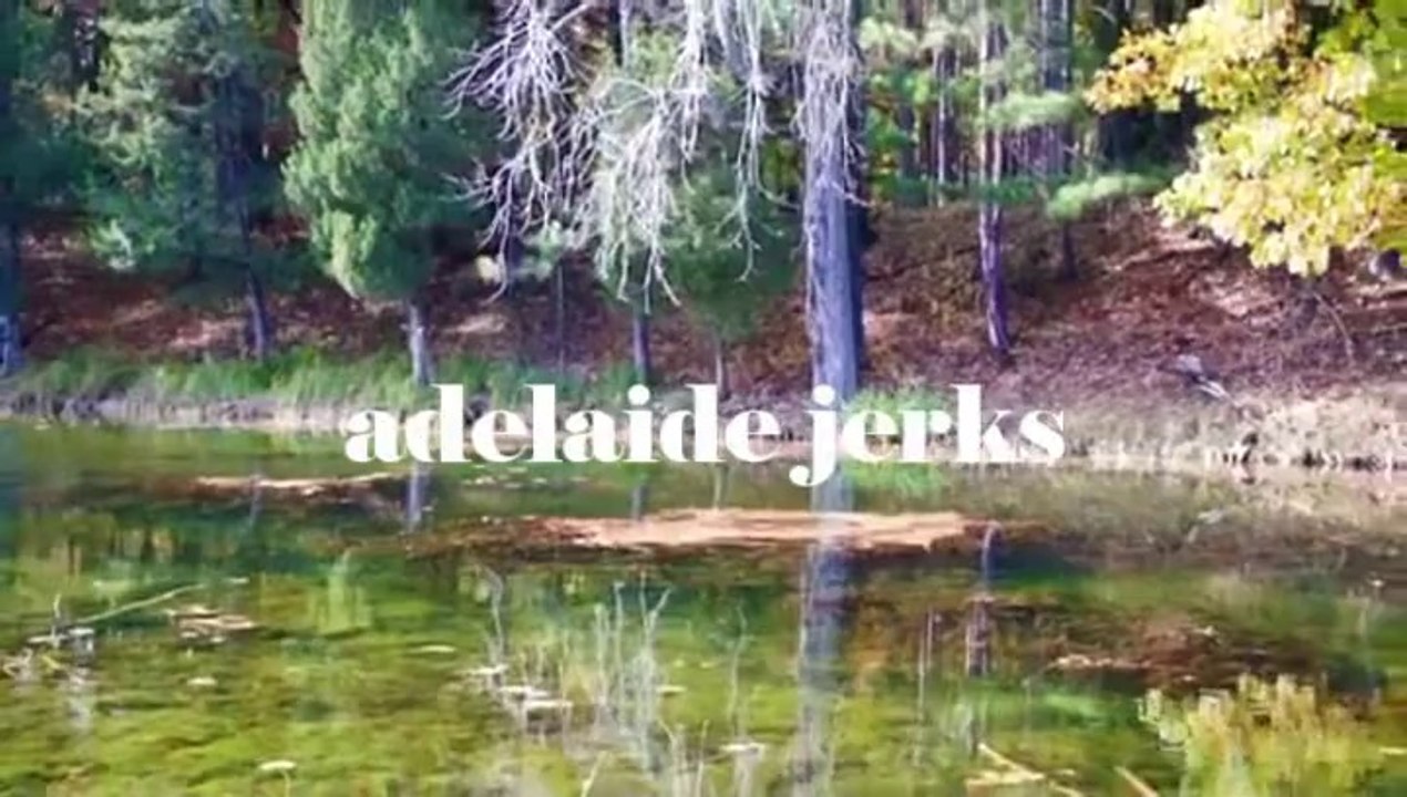 Craigslist 7 - Adelaide Jerks