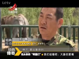 20140324  抢头条的“明星们” 我们结婚吧—大象的爱情