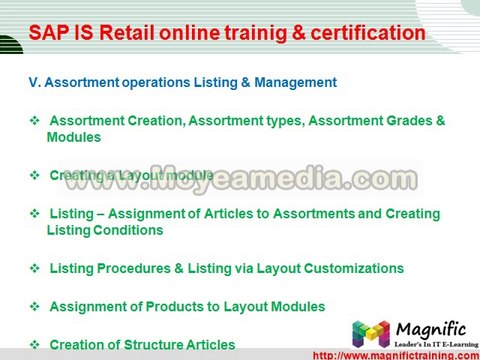 sap is retail online training by it experts