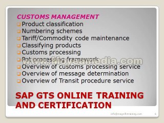 sap gts online training by IT experts