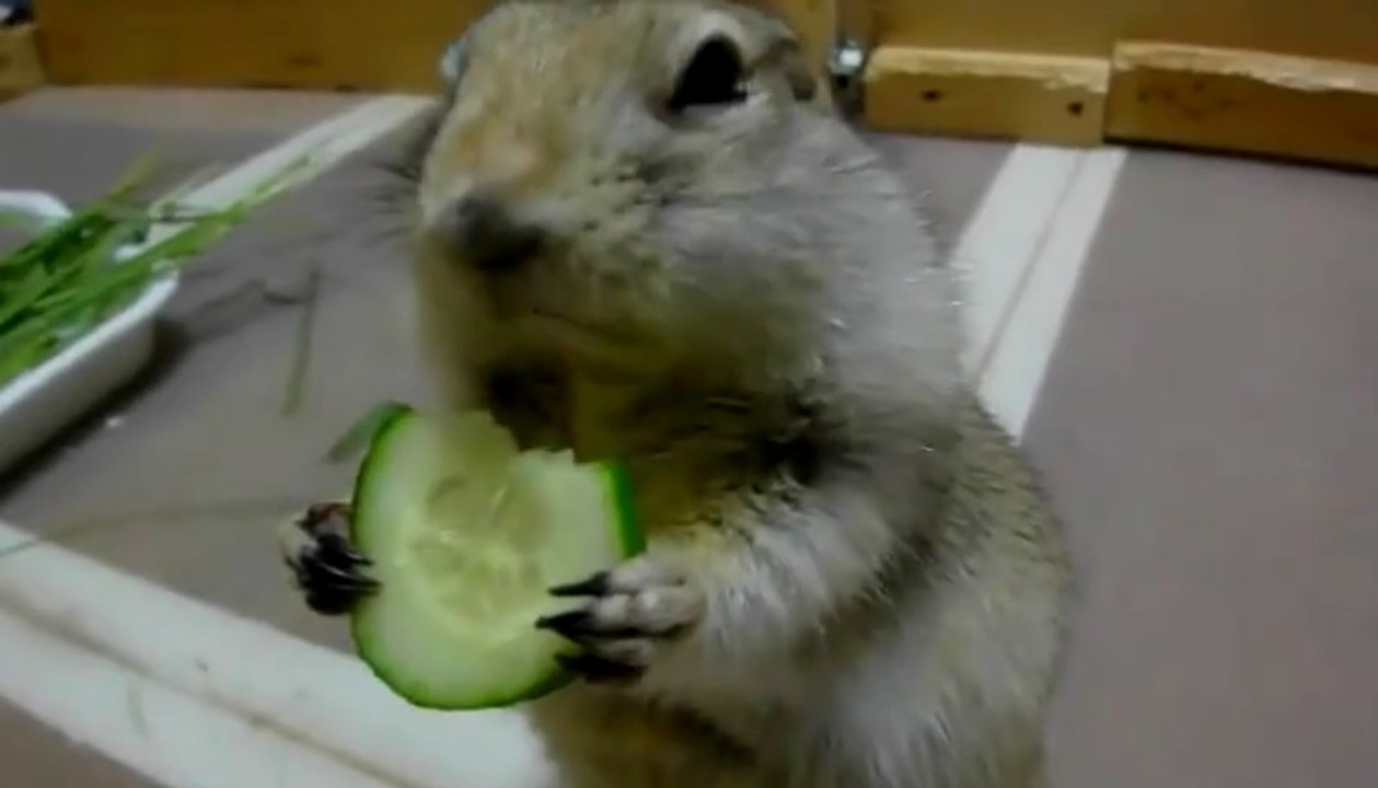 Bu Kadar Da Sevimli Olunmaz Ki