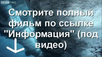 КИНОХИТ Жажда скорости смотреть film онлайн 2014 SD