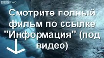 КИНОХИТ Афера по американски смотреть film онлайн 2014 CY