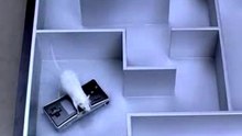 Game Boy Micro Nintendo Commercial