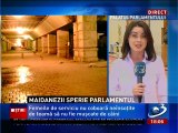 Maidanezii sperie Parlamentul Romaniei