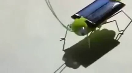 Güneş Enerjili Robot Böcek