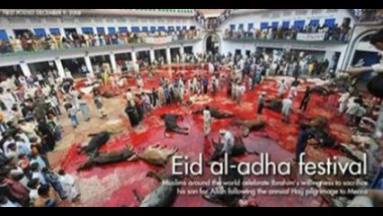 BEGINNING OF SANCTIONS NORTH KOREA ALMOST SHOT DOWN A CHINESE AIRPLANE WITH A MISSILE