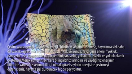 21 GÜNLÜK BOLLUK BEREKET ENERJİSİ