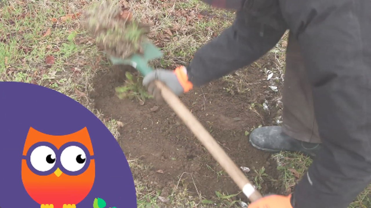 Comment enlever le gazon (Ooreka.fr)