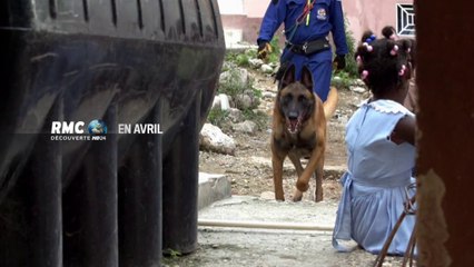 En Avril 2014 sur RMC Découverte : PLUS FORT QUE LA FICTION !