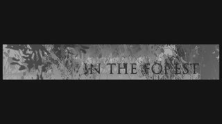 In the Forest - Cinematic Intro - After Effects Template
