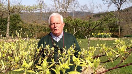 Qu'est ce qu'un cornus.