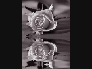 ΓΙΑΝΝΗΣ ΠΟΥΛΟΠΟΥΛΟΣ-ΑΝ ΓΥΡΙΣΕΙΣ ΑΝ