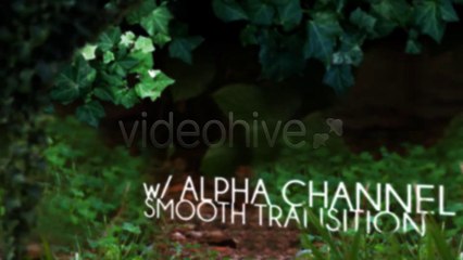 Flora Short Promo - After Effects Template