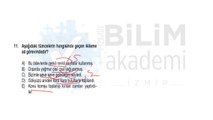 Türkiye Geneli Deneme Sınavı 03 - Önlisans Genel Yetenek - Genel Kültür - Türkçe Soru Çözümü