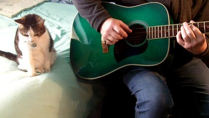 Kdenlive vid editor test