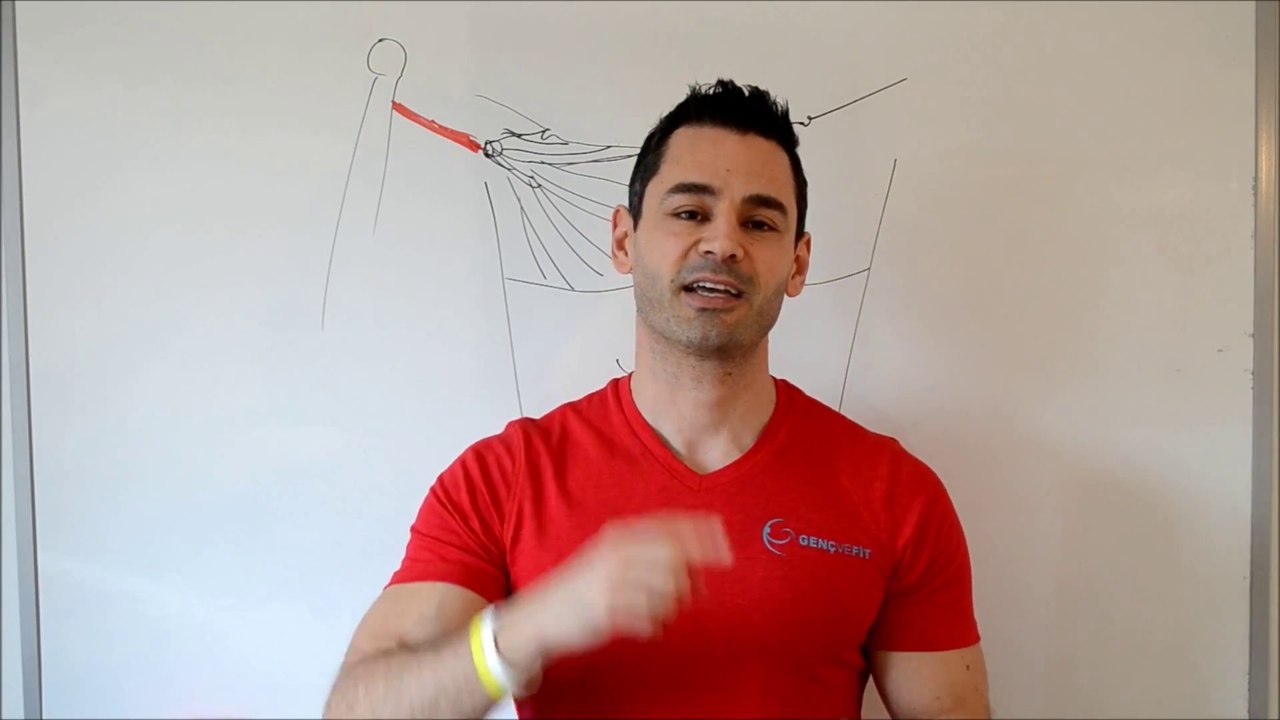 Göğüs Kası Nasıl Daha Da Geliştirilir Büyütme, Sıkılaştırma ve Güçlendirme İçin Bir İpucu