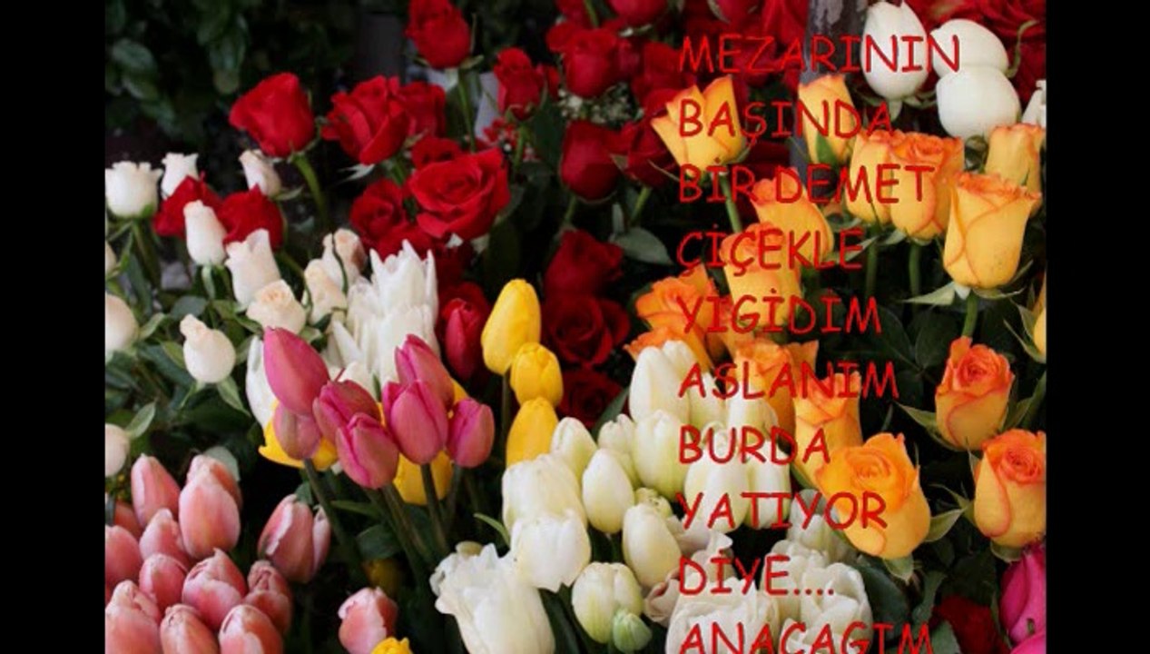 Hikmet ve rıza