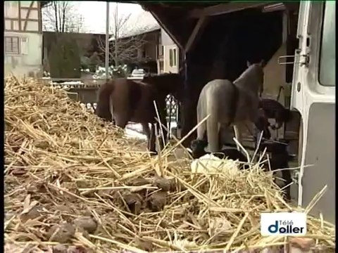 DH 2005 - SEM 02 - Portrait pierre blény