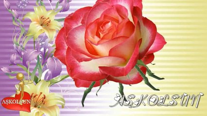 Meral Mansuroğlu - Biz Ayrılamayız