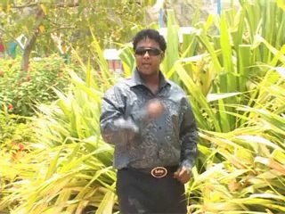 hees qaadiro best song