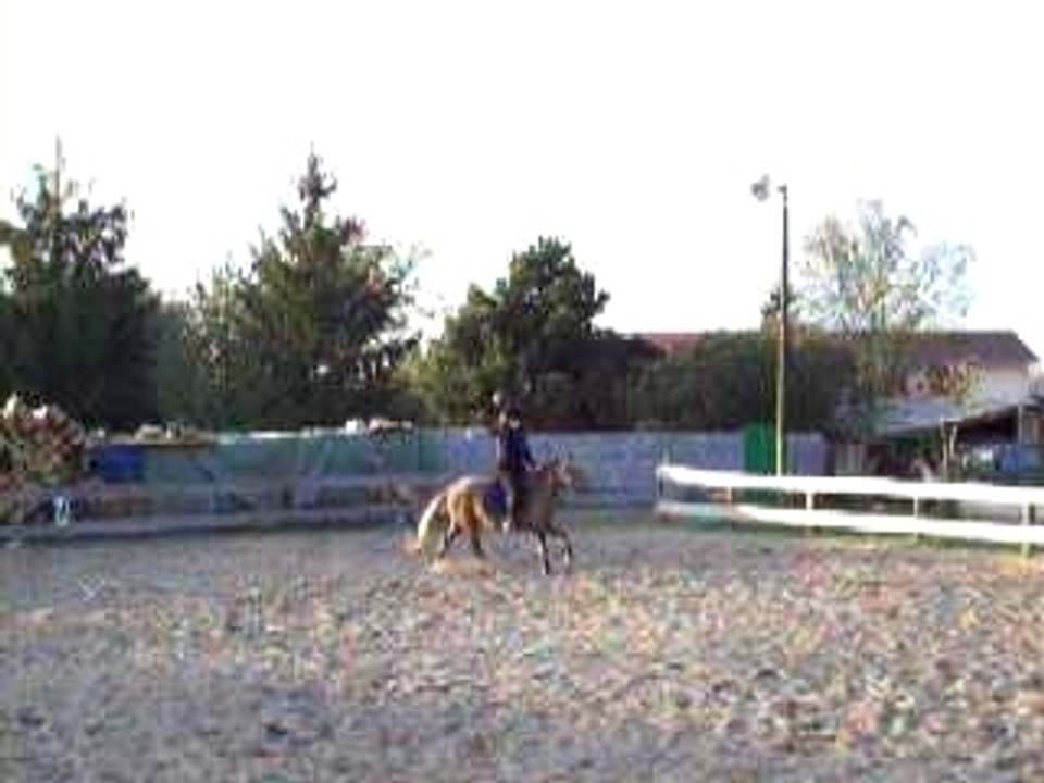 Fidji au galop