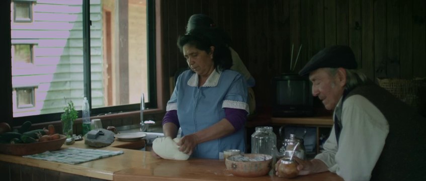 L'ETE DES POISSONS VOLANTS - Bande-annonce VO