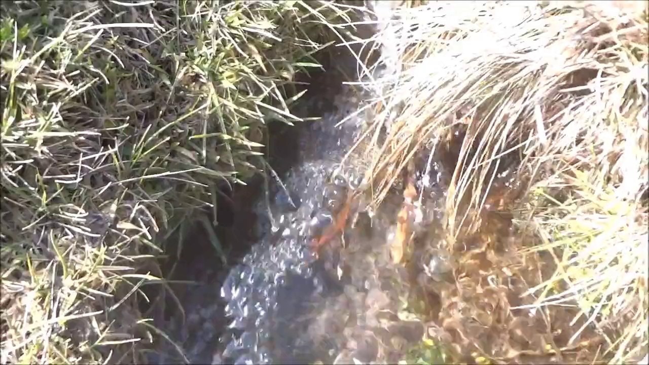 Ventura y Prados del Rincón