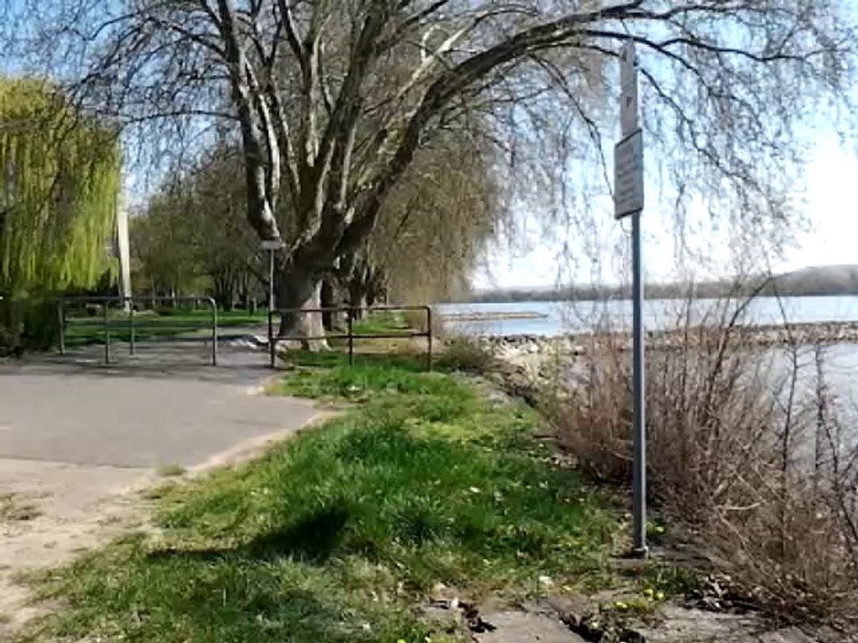 Le Rhin